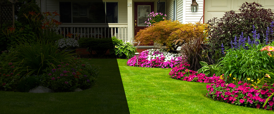 Mount Vernon Landscapers